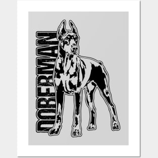 Proud Doberman dog portrait dog portrait Posters and Art